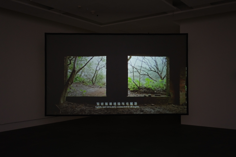 《金礦、深淵、山神廟》林彥翔個展｜林彥翔｜國藝會補助成果檔案庫